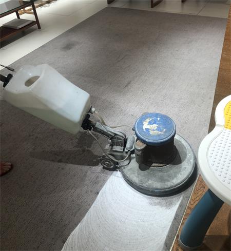 雅瑩地毯清洗