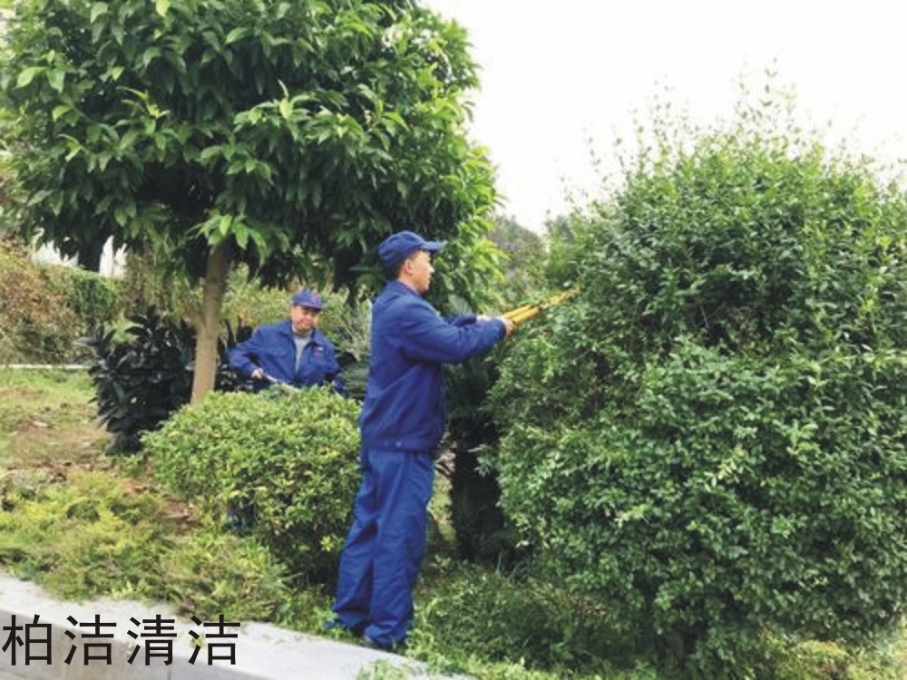 園林綠化養(yǎng)護(hù)知識要點(diǎn)