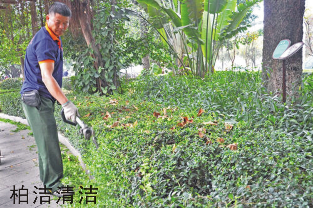 東莞綠護(hù)養(yǎng)護(hù)1